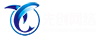 網(wǎng)站用.png